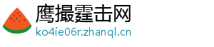鹰撮霆击网